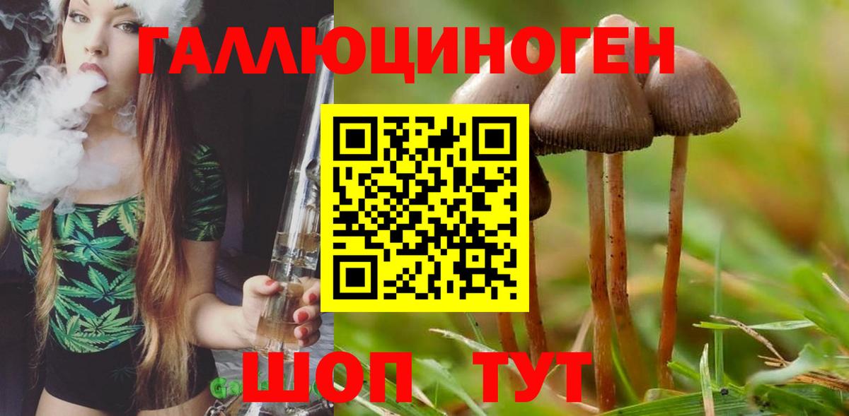 Галлюциногенные грибы мухоморы Орёл